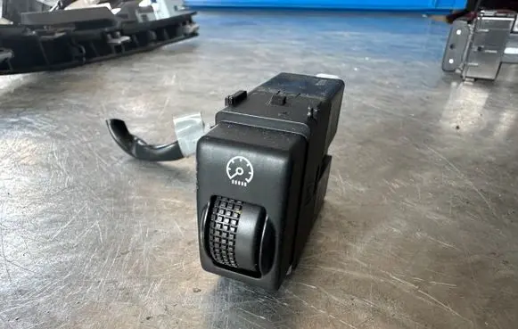 Panel lighting control switch