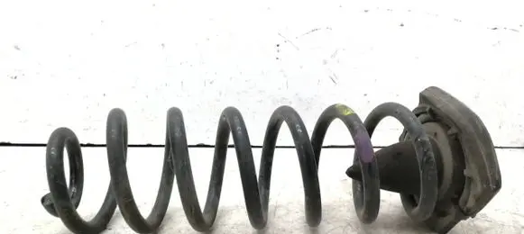 Renault Scenic III - Grand scenic III Rear coil spring