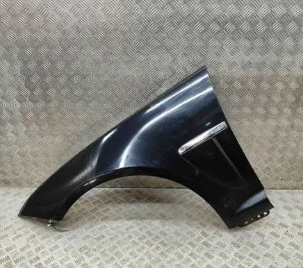 Jaguar XF X250 Fender CX2316006AG