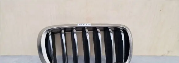BMW X5 F15 Front bumper lower grill 51137349388