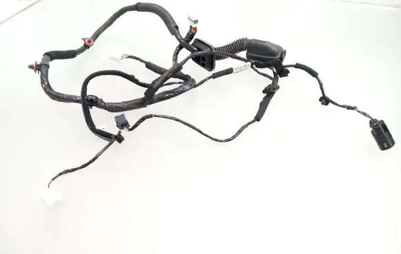 Hyundai i10 Front door wiring loom 91600B9120
