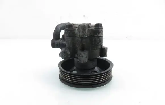 Hyundai Santa Fe Power steering pump 