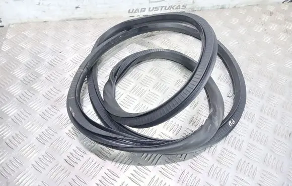 Opel Insignia A Front door rubber seal