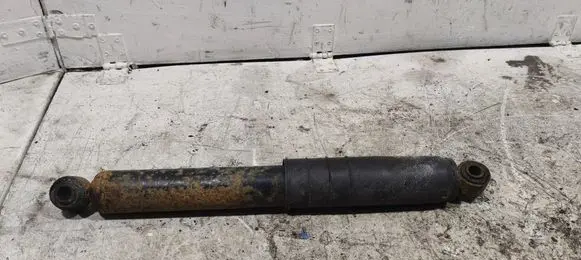 Fiat Ducato Rear shock absorber/damper 1318946080