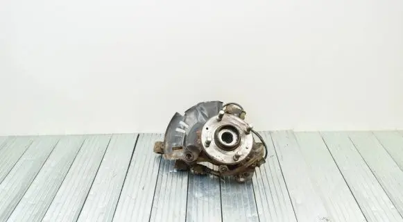Hyundai i20 (PB PBT) Front wheel hub 956701J000