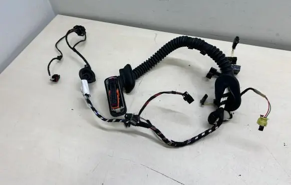 Front door wiring loom