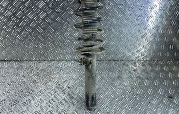 Volkswagen PASSAT B6 Front shock absorber with coil spring 