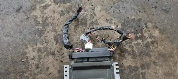 Nissan Primera Engine control unit/module MEC37110 MEC37110E25216