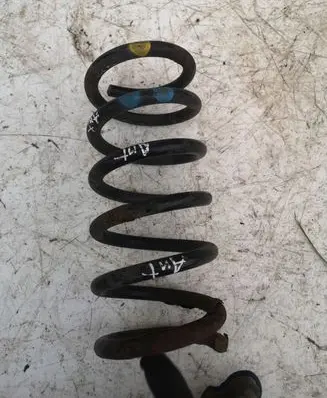 Opel Antara Rear coil spring