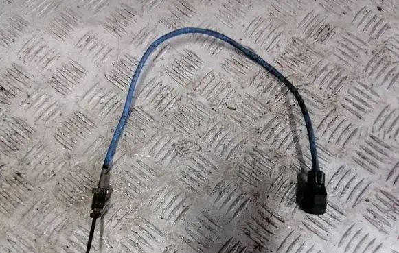 Ford C-MAX II Exhaust gas temperature sensor 6G9112B591DA