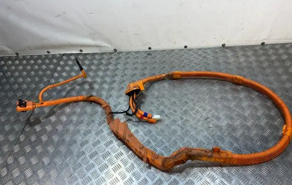 Hyundai Ioniq Other wiring loom 91875G2021