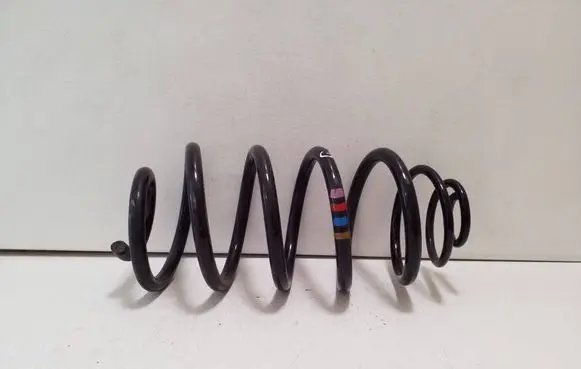 Peugeot Expert Rear coil spring 