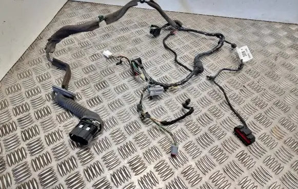 Ford Focus Front door wiring loom BV6T14A584 12372135000 A12412718