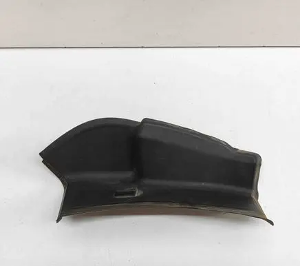 Rear/tail light trim molding