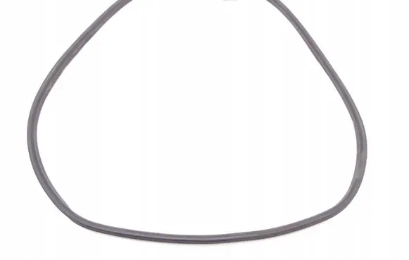 Peugeot 207 Front door rubber seal