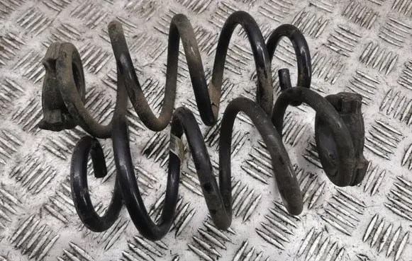 Rear coil spring