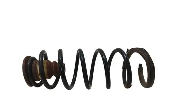 Rear coil spring
