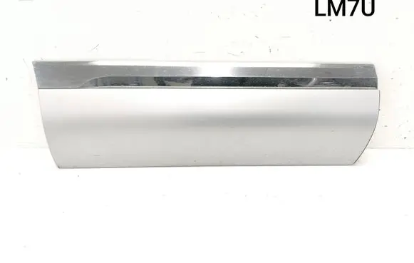 Rear door trim (molding)