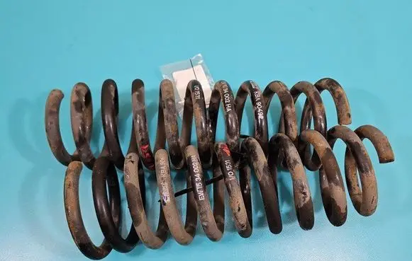 Rear coil spring