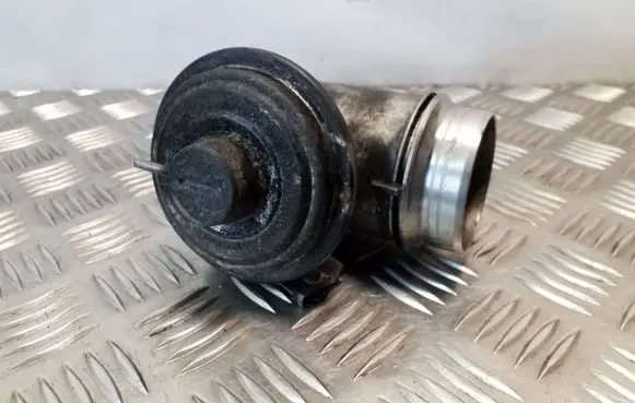 BMW 3 E46 EGR valve