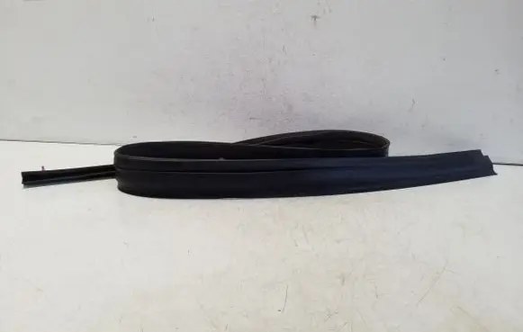 Lexus NX Front door rubber seal 