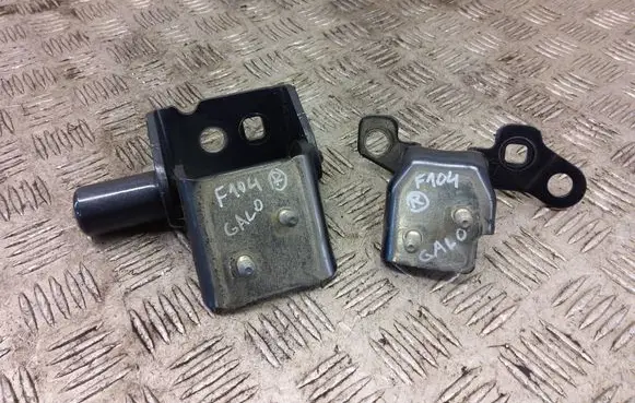 Renault Zoe Rear door hinge set 