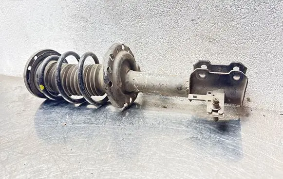 Opel Vectra C Front shock absorber with coil spring 13254165