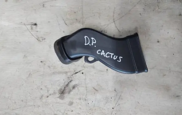 Citroen C4 Cactus Cabin air duct channel 980024878001