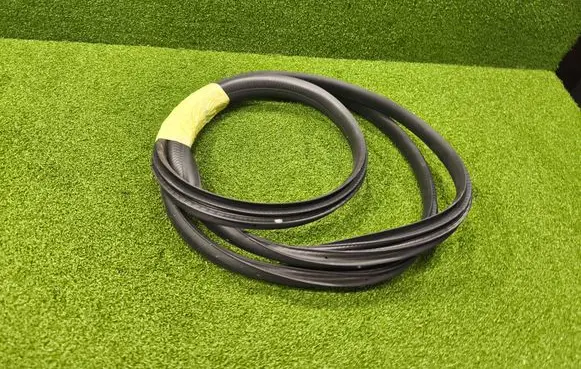 Renault Arkana Rubber seal front coupe door window 