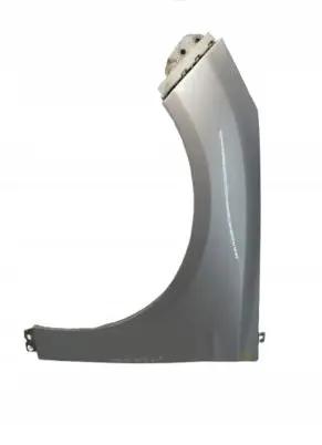 Ford Focus Fender
