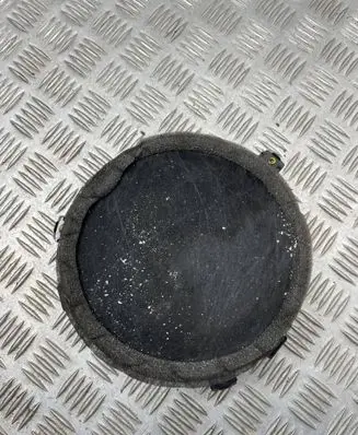 Dodge Durango Rear door speaker