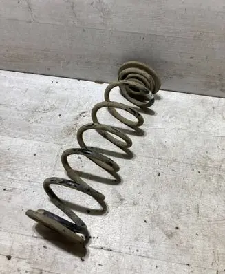 Rear coil spring