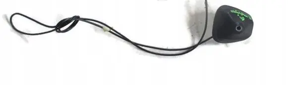 Renault Megane III Radio antenna 