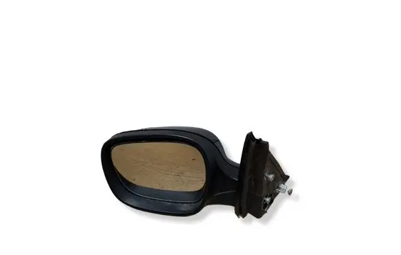 BMW X3 F25 Front door electric wing mirror 7205445