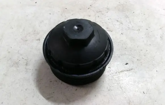 Volkswagen PASSAT B6 Oil filter cover 