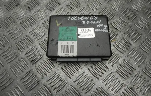 Hyundai Tucson JM Door control unit/module 954002E211