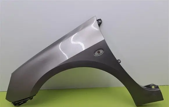 Peugeot 307 Fender 