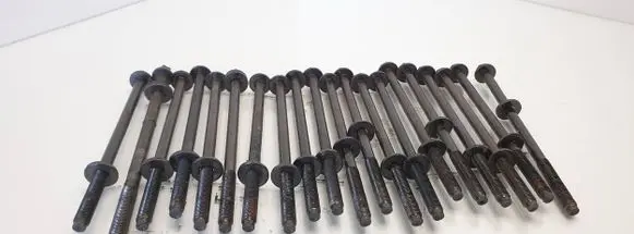 Lincoln Town Car Cylinder head bolts