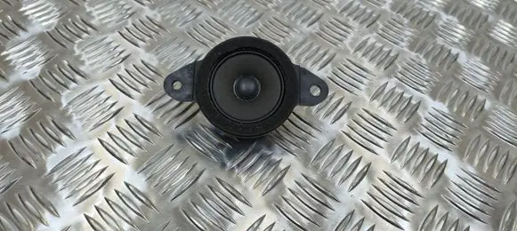 Panel speaker