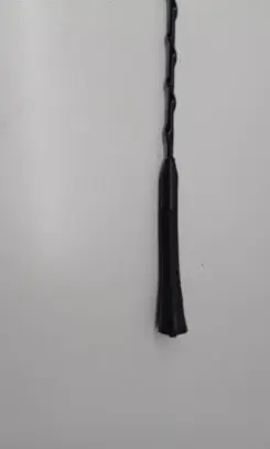 Toyota RAV 4 (XA30) Radio antenna 