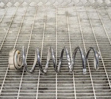 Audi Q5 SQ5 Rear coil spring