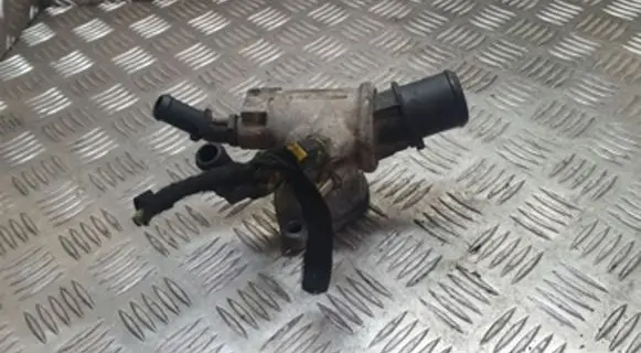 Thermostat/thermostat housing