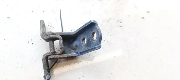 Rear door lower hinge