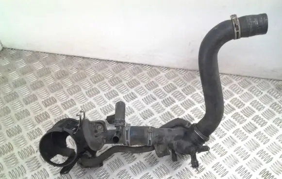 Thermostat/thermostat housing
