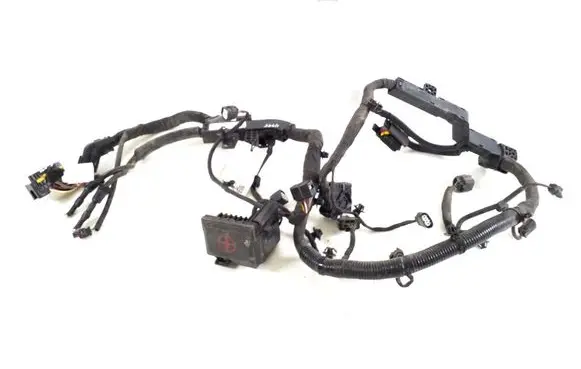 Hyundai Kona I Other wiring loom 91660K4010