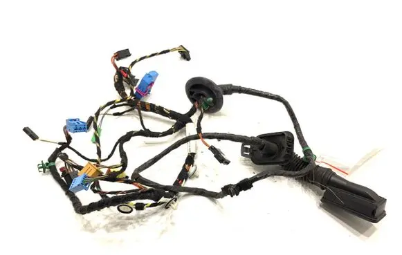 Front door wiring loom