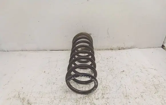 Ford Focus C-MAX Rear coil spring