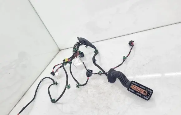 Porsche Taycan 9J1 Front door wiring loom 9J1971036N