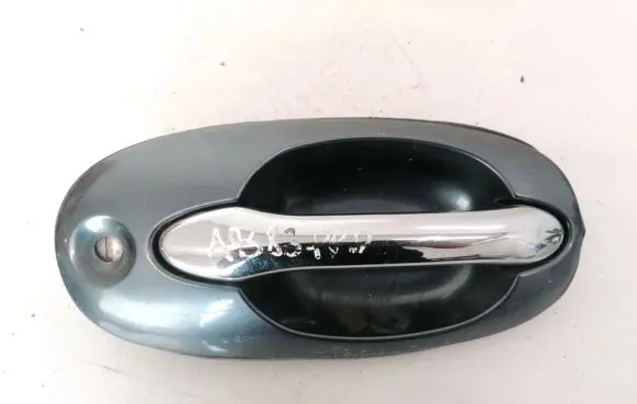 KIA Carnival Front door exterior handle