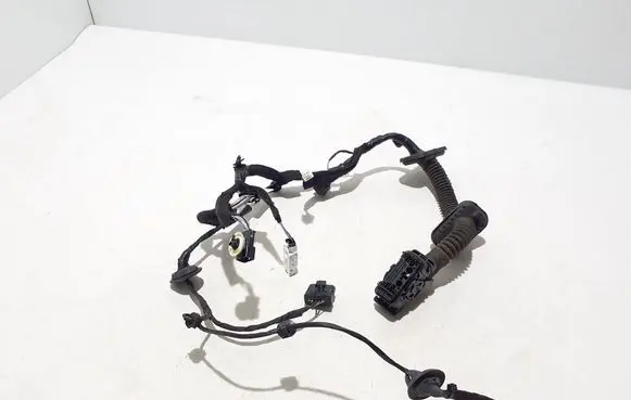 Renault Austral Other wiring loom 241250531R